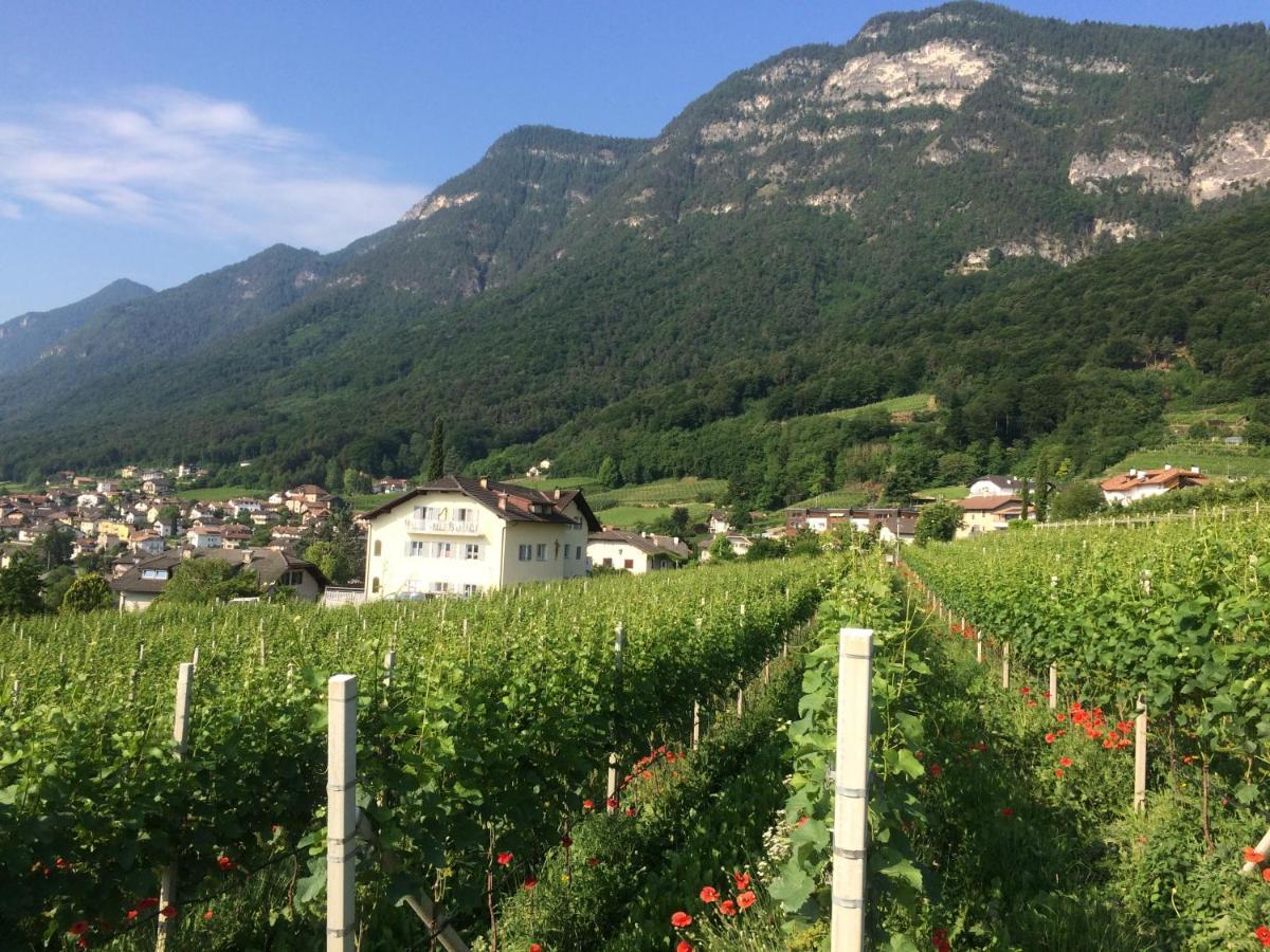 Strengen Guesthouse Caldaro Buitenkant foto