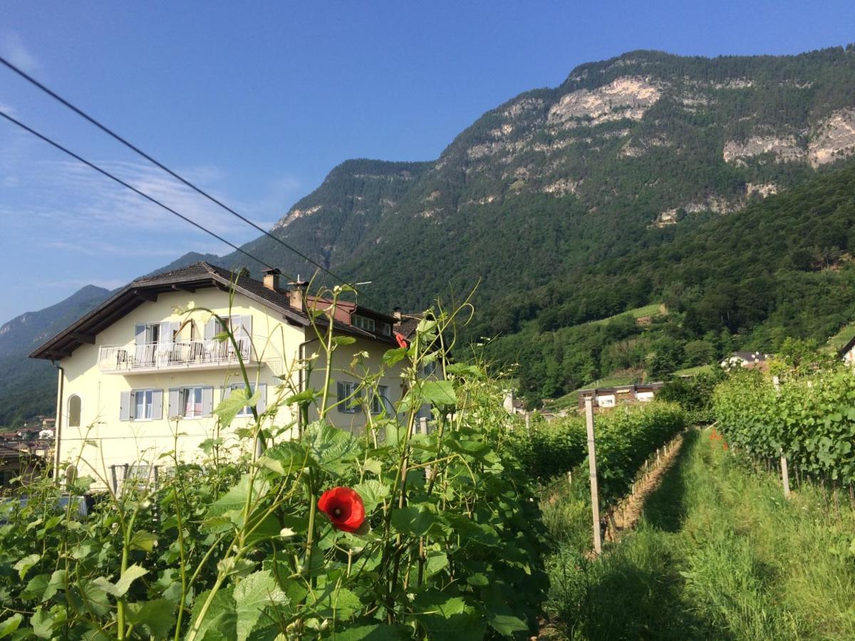 Strengen Guesthouse Caldaro Buitenkant foto